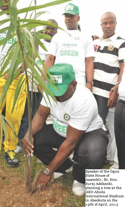 Tree Planting Exercise